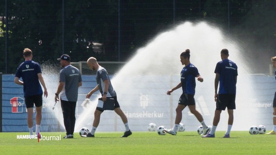 Spieler des HSV vor einer Wasserfontäne. © Screenshot 