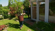 Ein Mann trägt eine Magnolia in einem Korb in einen Garten. © Screenshot 