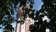 Blick auf den Wasserturm von Malchin durch die Äste eines Baumes. © Screenshot 