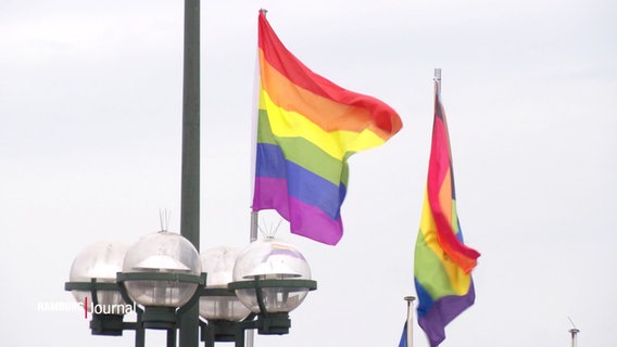 Zwei Fahnen in Regenbogen Farben. © Screenshot 