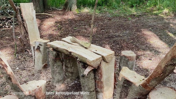 Ein Tisch und Stühle, die aus Baumstämmen gefertigt wurden. © Screenshot 