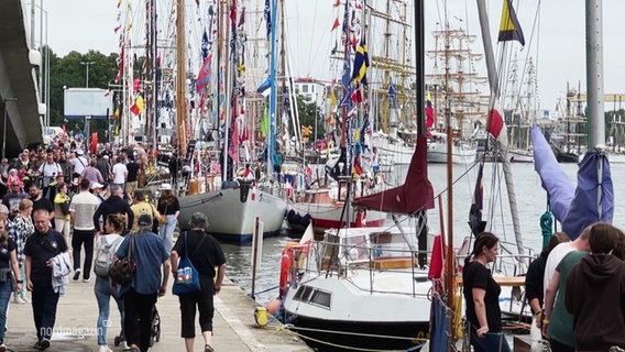 Mehrere Segelschiffe liegen im Hafen und sind mit bunten Länderflaggen bestückt. © Screenshot 