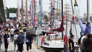 Mehrere Segelschiffe liegen im Hafen und sind mit bunten Länderflaggen bestückt. © Screenshot 