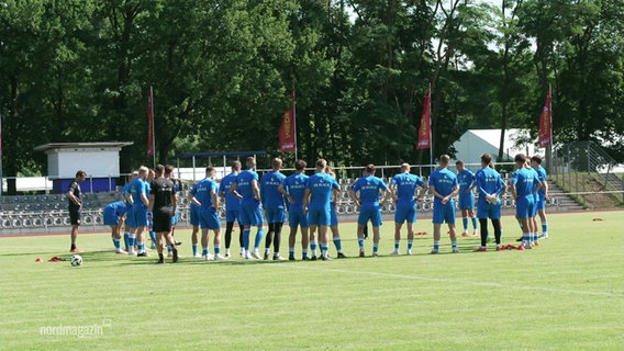 Die Mannschaft von Hansa Rostock auf dem Platz. © Screenshot 
