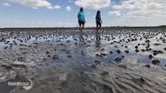 Zwei Frauen wandern mit Nordic Walking Stöcken übers Watt. © Screenshot 