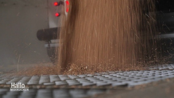 Ein Bauer leert sein Getreide in einen Speicher. © Screenshot 