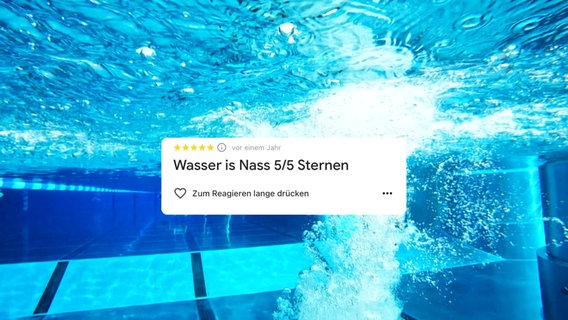 Vor einer Unterwasseraufnahme eines Schwimmbeckens wird eine Gästebewertung eingeblendet. Sie lautet: "Wasser ist nass, 5/5 Sternen". © Screenshot 