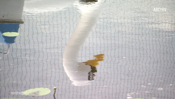 Ein Schwanen-Tretboot spiegelt sich im Wasser. © Screenshot 