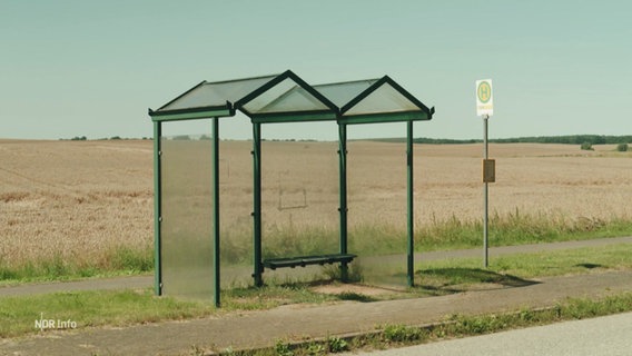 Eine leere Bushaltestelle an einer Straße © Screenshot 