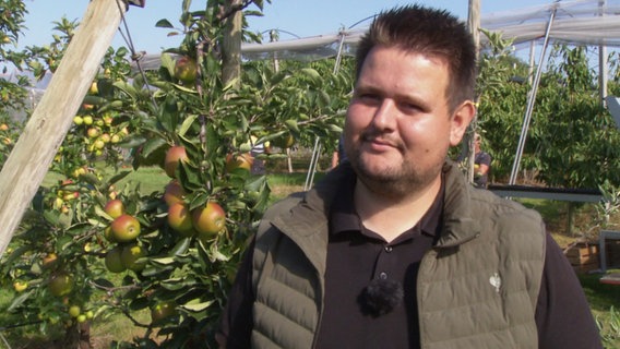 Obstbauer Jörn Meier steht vor Apfelbäumen, die geerntet werden. © Screenshot 