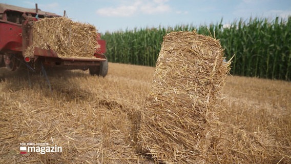 Ein ballen Heu, der von einem Traktor fällt. © Screenshot 