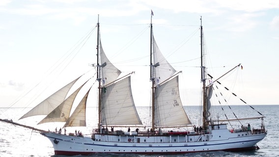 Auf diesem Traditionssegler, der "Großherzogin Elisabeth", segelten 17 Auszubildende und Studierende von Stettin nach Rostock zur Hanse Sail. © Screenshot 