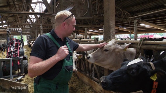 Ein Landwirt steht in seinem Stall und untersucht eine Kuh auf die Symptome der Blauzungenkrankheit. © Screenshot 