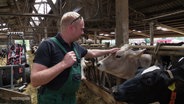 Ein Landwirt steht in seinem Stall und untersucht eine Kuh auf die Symptome der Blauzungenkrankheit. © Screenshot 