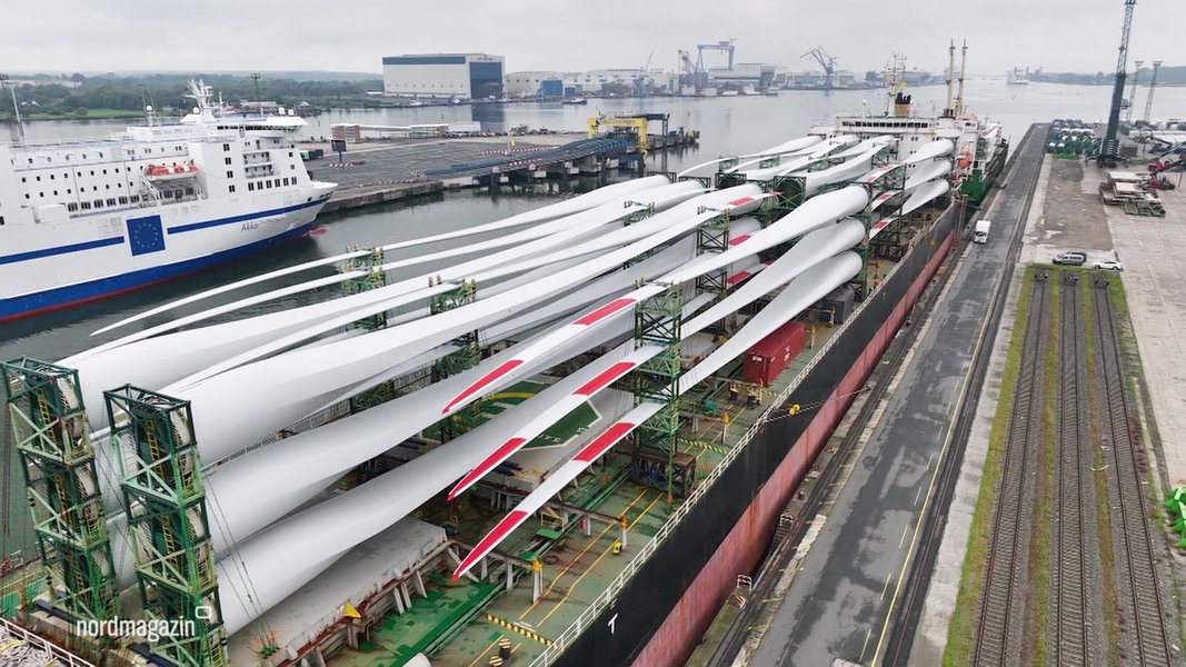 Arbeit im Rostocker Hafen: Große Maschinen, kleine Menschen