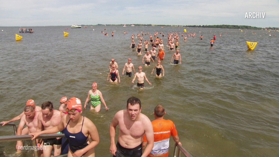 MV im Fokus: Podcast über das Freiwasserschwimmen