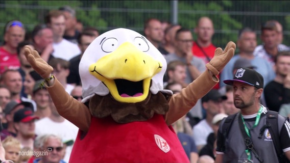 Ein Vogel-Maskottchen streckt die Arme in die Luft. © Screenshot 