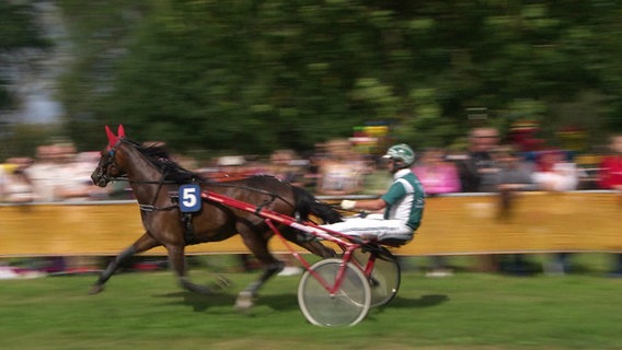 Jockey Hans-Jürgen von Holdt beim Trabrennen © Screenshot 