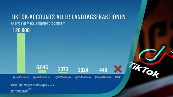 Eine Grafik des NDRs zeigt, wie stark unterschiedliche Parteien aus dem Landtag in Mecklenburg-Vorpommern auf TikTok vertreten sind. Die AfD ist mit Abstand die stärkste mit 120.00 Accounts. © Screenshot 