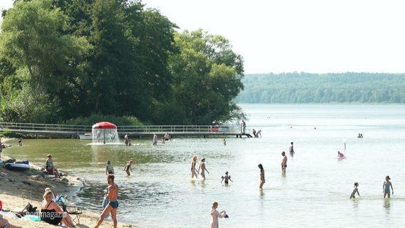 Menschen schwimmen im Tollensesee. © Screenshot 