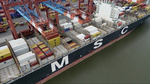 Ein MSC-Containerschiff im Hamburger Hafen. © Screenshot 