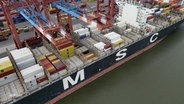 Ein MSC-Containerschiff im Hamburger Hafen. © Screenshot 