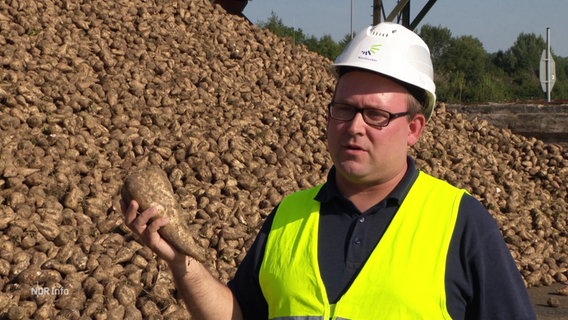 Ein Mann hält eine Zuckerrübe in der Hand. © Screenshot 