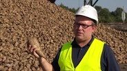 Ein Mann hält eine Zuckerrübe in der Hand. © Screenshot 