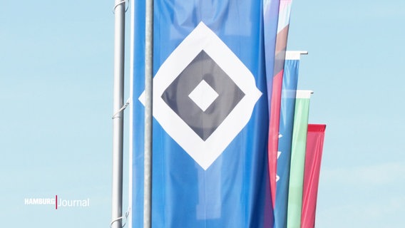 Eine Flagge des HSV. © Screenshot 