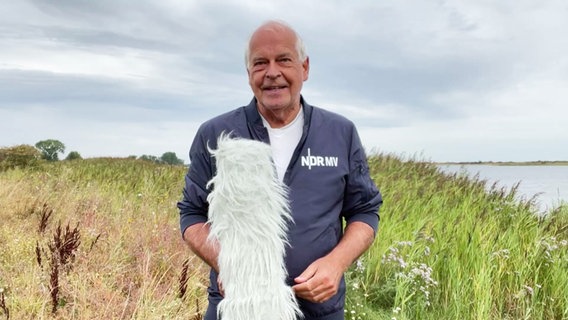 Thomas Globig präsentiert das Wetter für Mecklenburg-Vorpommern © Screenshot 