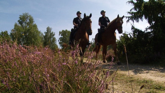 Zwei Polizisten reiten auf Pferden durch eine Heidelandschaft. © Screenshot 