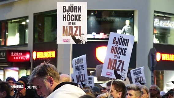 Demonstration gegen die AfD in Hamburg. © Screenshot 