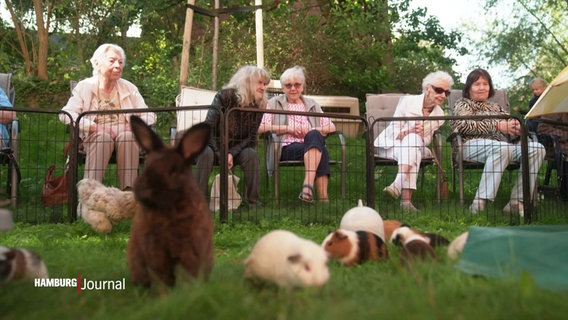 Senior:innen bekommen Besuch vom mobilen Zoo. © Screenshot 