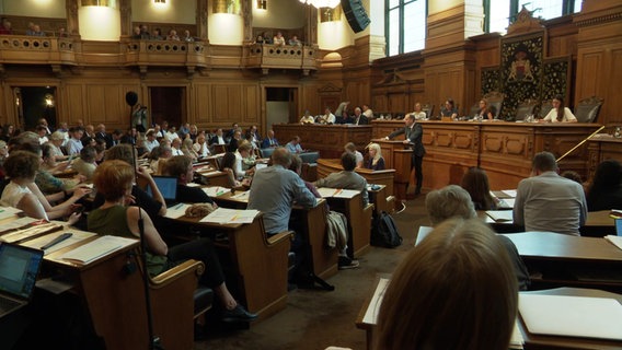 Mitglieder der Bürgerschaft bei einer Sitzung im Rathaus. © Screenshot 