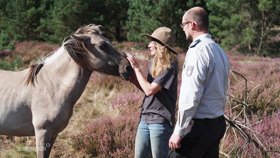 Zwei Personen und ein Wildpferd in einer Heidelandschaft. © Screenshot 