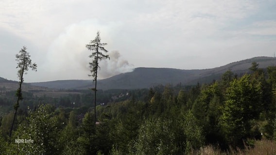 Wolken steigen auf vom Brocken im Harz . © Screenshot 