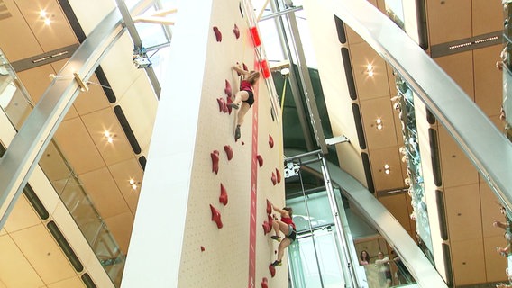 Eine weiße Wand mit roten Griffstücken steht in der Europa-Passage in Hamburg. Zwei Frauen kletter, mit Seilen vor einem Sturz gesichert, an ihr hoch. © Screenshot 