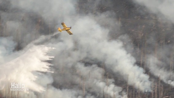 Vor einem qualmendem Waldbrandgebiet fliegt ein Löschflugzeug durch die Rauchschwaden. © Screenshot 