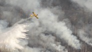 Vor einem qualmendem Waldbrandgebiet fliegt ein Löschflugzeug durch die Rauchschwaden. © Screenshot 