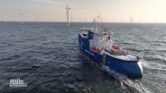 Ein größeres Wartungsschiff fährt auf dem Meer auf einen Offshore-Windpark zu. © Screenshot 