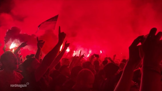 Singende Fans mit erhobenen Händen, rotes Licht und Nebel bei einem Konzert. © Screenshot 