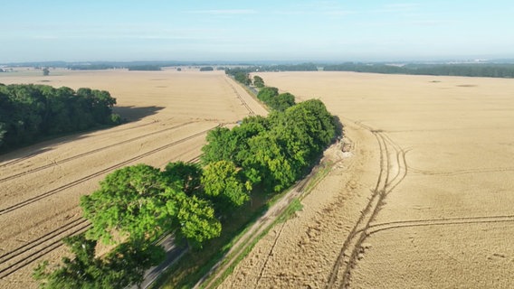 Landesstraße 293 auf der Insel Rügen. © Screenshot 