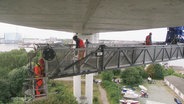 Prüfarbeiten an der Rügenbrücke. © Screenshot 