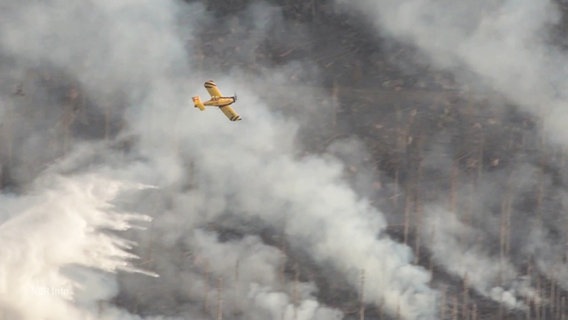 Ein Feuerlöschflugzeug bei der Brandbekämpfung am Brocken © Screenshot 