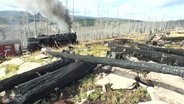 Eine historische Dampflok fährt auf den Brocken, im Vordergrund verkohlte Baumstämme, im Hintergrund kahle Baumgerippe. © Screenshot 