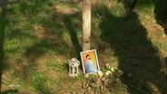 An einem Holzpfeiler auf einer Wiese lehnt das Foto eines jungen Mannes, davor steht eine Laterne und liegen einige Rosen. © Screenshot 