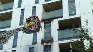 Feuerwehreinsatz an einer brennenden Fassade in der Hamburger Neustadt. © Screenshot 