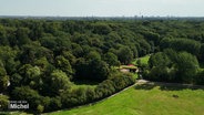 Eine Luftaufnahme zeigt den Wald, einige Weiden und das Waldcafé Corell am Niendorfer Gehege. © Screenshot 