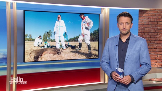 Jan Starkebaum moderiert Hallo Niedersachsen © Screenshot 