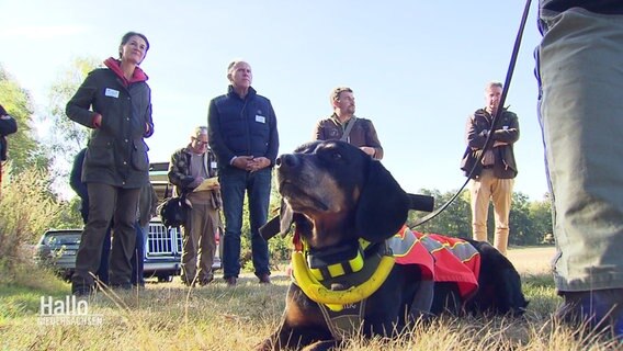 Ein Spürhund liegt vpr einem Halbkreis aus Menschen © Screenshot 